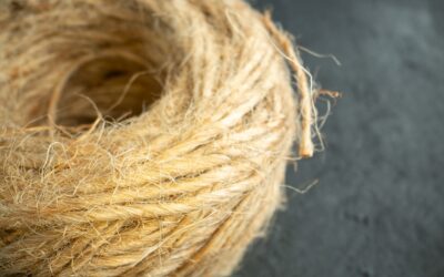 Najlepsze pakuły – Ranking 2026